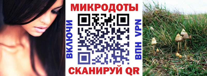 Псилоцибиновые грибы GOLDEN TEACHER  Нефтегорск 